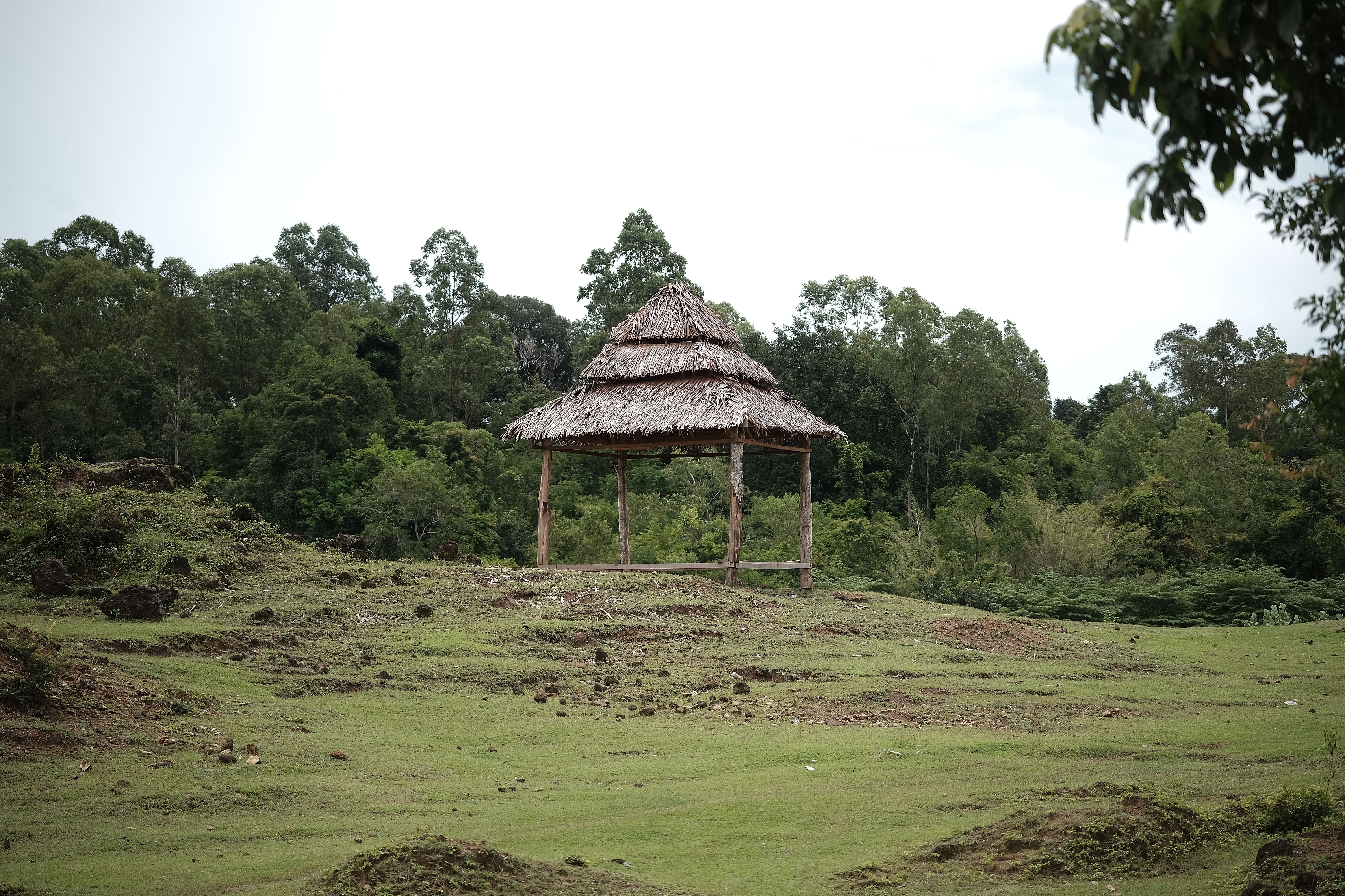 Peureulak, Kesultanan Awal Aceh di Persimpangan Sejarah