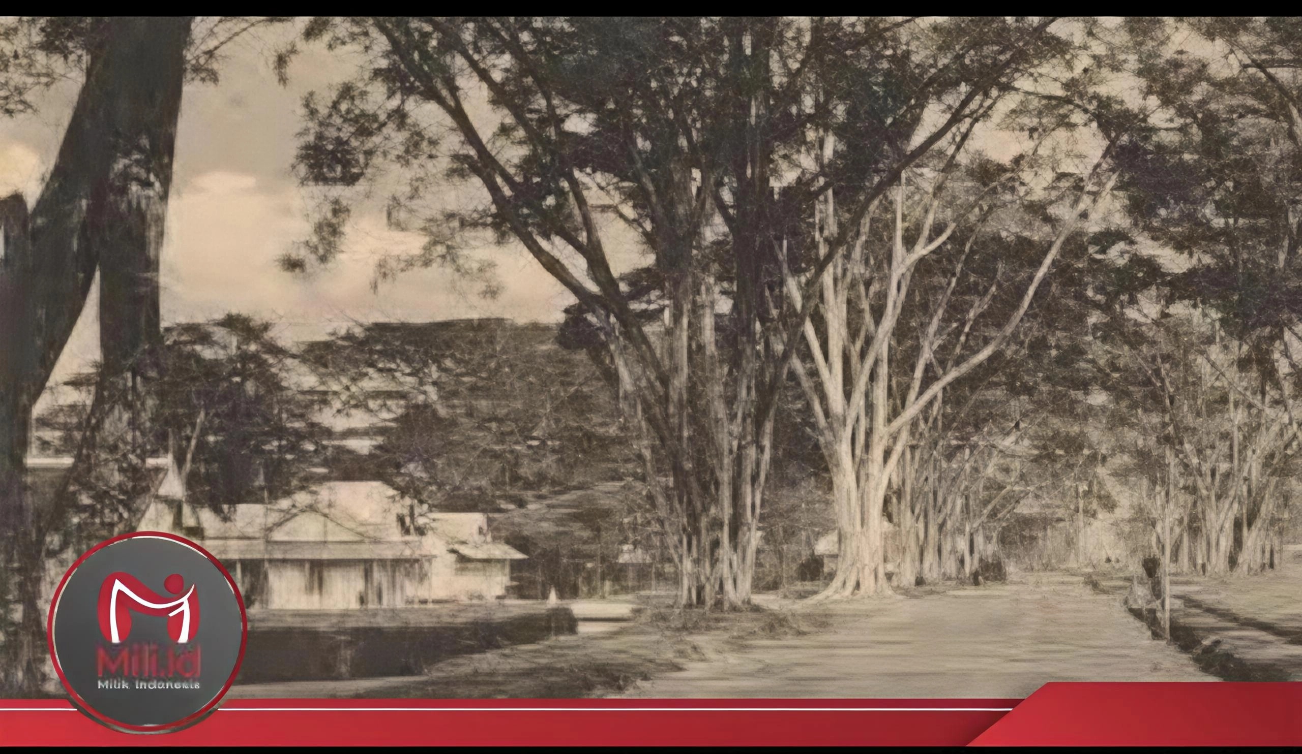 Wonosobo 1825, Lahir dari Gejolak Perang Diponegoro